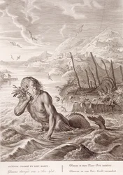 Glauco trasformato in un dio del mare, 1731
